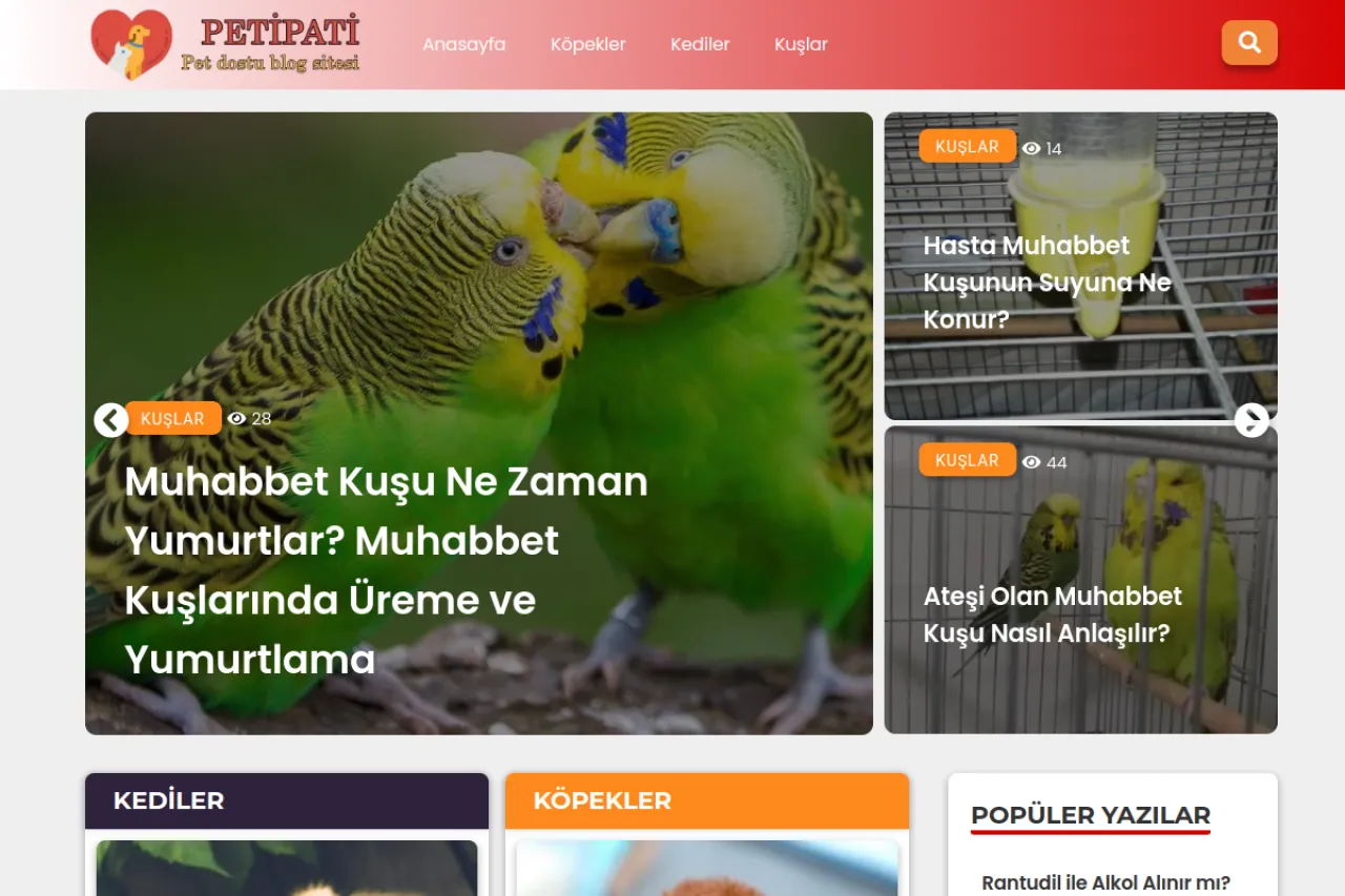 petipati.net web sitesi ekran görüntüsü - DA 56